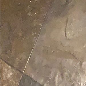 Meet your Posher, Kyra